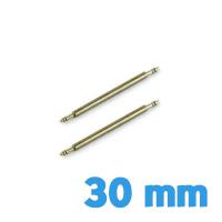 Pompes en lot de 2 - 30 mm pas chère réparaiton bracelet montre