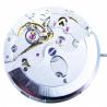 Mouvement 8216 pour montre chinois