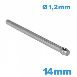 Tige longue de 14 mm fendue de montre titane