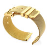 Bracelet Ardillon 18 mm Acier inoxydable Doré montre