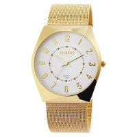 Montre Homme Akzent...