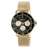 Montre Homme Raptor bracelet acier inoxydable doré cadran noir