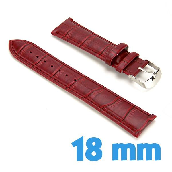 Carquois 5 flèches Alpine Bear Claw | Disponible en carquois de 3