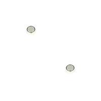 2 Batteries pour montre 1,5 V alcaline AG4 