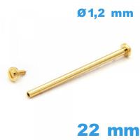 Barrette 22 mm Doré fermoir à rivet cylindrique  Doré de bracelet pour montre