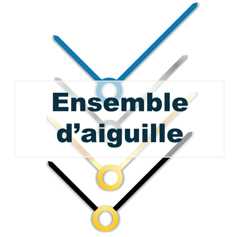 Catégorie Ensemble d'aiguille (paire)